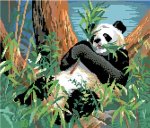 (image for) Panda